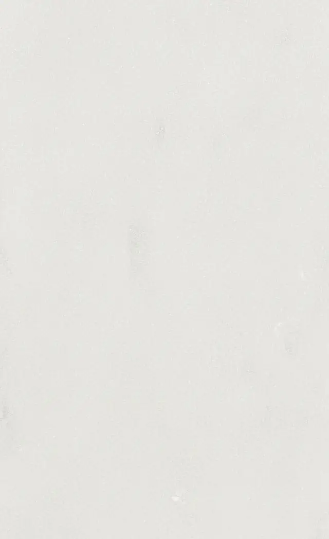 Vivica Snow Dust Matt GA228A (White Lustre)