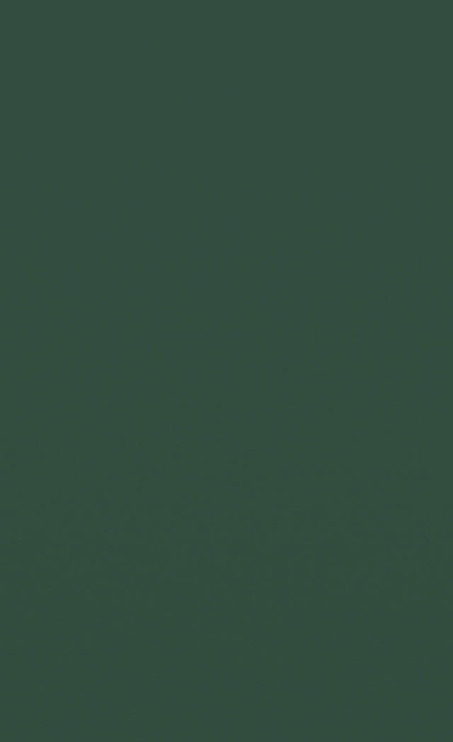 Cottage Green Satin GS174A